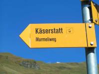 Klik op de foto voor groter formaat